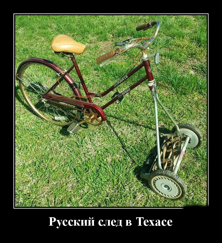 Podborka luchshikh demotivatorov 512 075